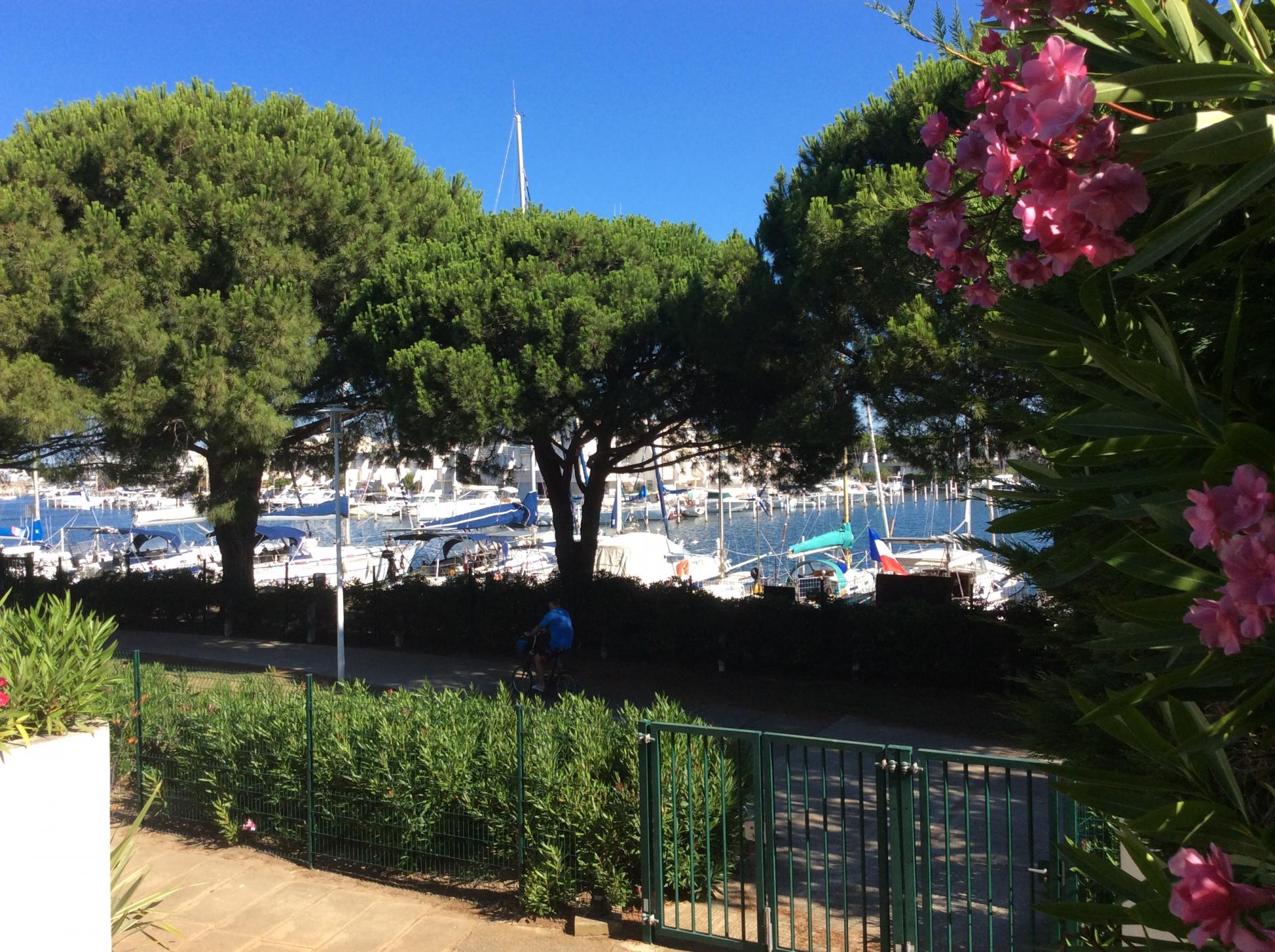 vue sur les marinas